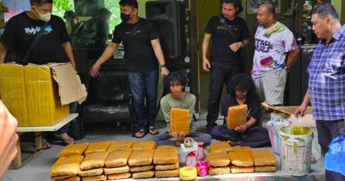 63 KG Ganja Ditemukan Di Kampus UIN Suska Riau
